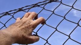 vězení ruka barbed-wire-1408454 1280